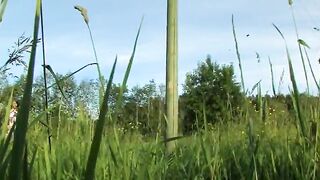 Beatas garden activities with huge toy