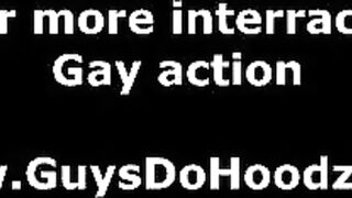 Interracial blowjob cock sucking for gay dudes