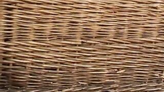 sex fun with my real flexible contortion teen rag doll