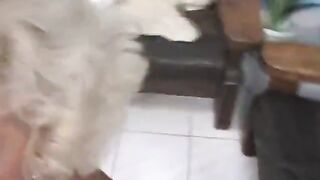 Blonde grandma Ella mouth fucked