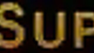 Delightful beaver playing