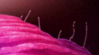 Tentacled hentai babe fucked hard