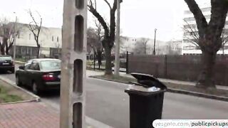 Beautiful brunette gets paid and fucked in public and receives cumshot