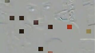 Cute Teen Gets Naked