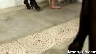 Dominant Shemale Punishers In Full Action