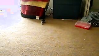 Dress With No Panties