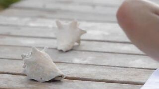 tokyo angel teasing by the ocean