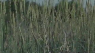 This car ride didnt exactly end up the way she expected getting her pussy fucked and all.