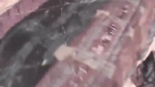 Starr rips open her stockings and toys her tight pussy 