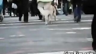 Horny Muscular Bears