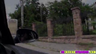 Topless Elisabeth takes a ride with the two swingers