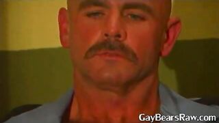 stunning bear group fucking