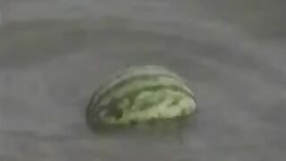 Fucking Outside By The Water