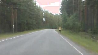 Have a look at wild fucking