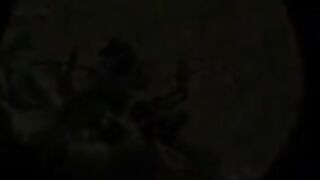 Slut Gives A Blowjob At The Beach