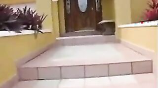 Busty MILF Riding A Cock