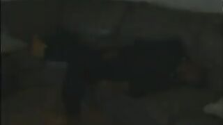 Horny Ebony Nurse Getting Fucked