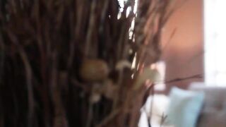 busty brunette masturbating her pussy