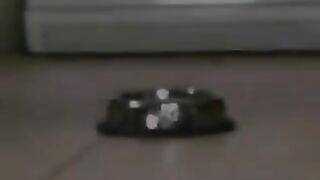 Two Girls And One Guy