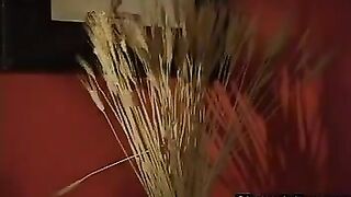 Horny Shemales Sucking And Fucking