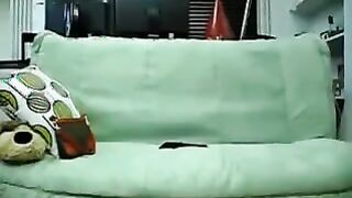 Asian Students Make A Homemade Sex Tape