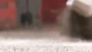 Muscular Gay Guys Having Fun