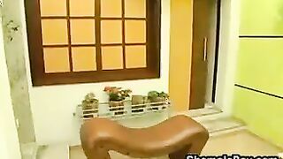 Two Sexy Shemales Fucking