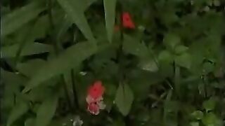 Young Shemale Exchanging Blowjobs