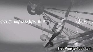 3D Ariel sucks cock and gets fucked underwater