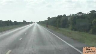 Super large boobs of Nadia Capri gets tit fucked and she receives facial