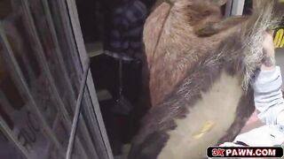 Hot lesbians sucking sweaty cock