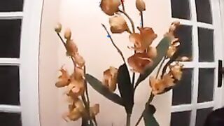 Thick Latin With A Big Butt