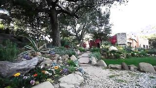 luxury toy and her tight pussy