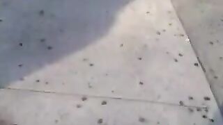 Big Ass On The Street