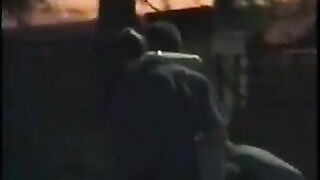 Naughty Couple In The Park