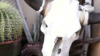 adorable masturbation in the kitchen