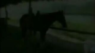 Anal Fucking On A Horse