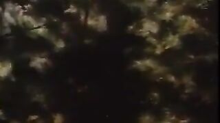 Having Sex In The Woods