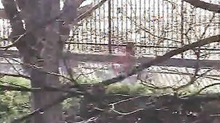 Woman caught with a gigantic fly trap