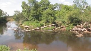 Thick rod rams tiny mouth