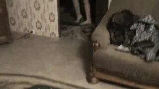 Sweet Rabbit Gets Fucked