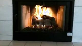 Brunette Sucks Fat Dick POV