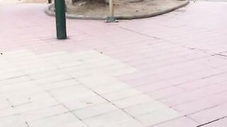 Wild blowjob outdoors