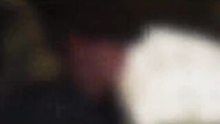 Pretty Abella deepthroats on the border blowjob and a piece of her wet latina pussy 