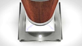 Lascivious doggystyle drilling