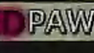 Sexy brunette chick get fucked hardcore inside the secret pawnshop