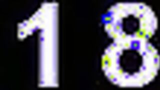 Beautiful lesbians in lingerie oral sex