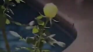 18 Year Old Latina And A BBC