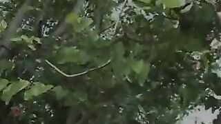 Asian Softcore Compilation