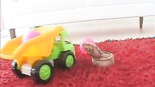 Japanese Cutie Sucks Cock